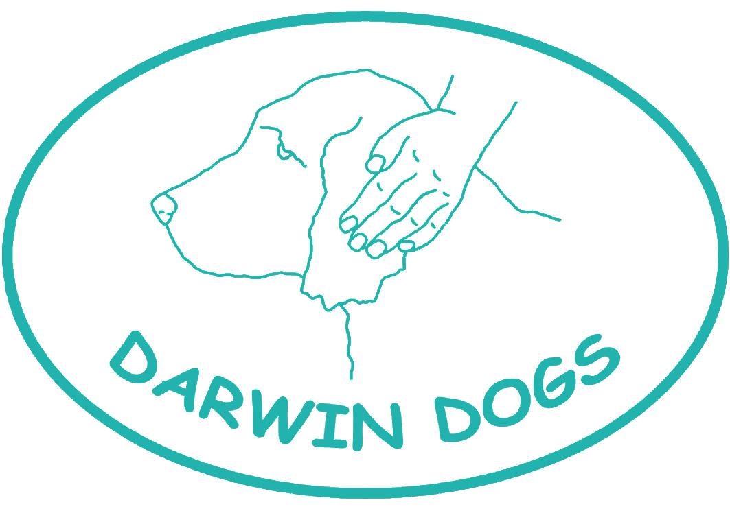 Darwin Dogs